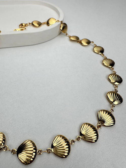 Deniz Kabuğu Gold Kolye